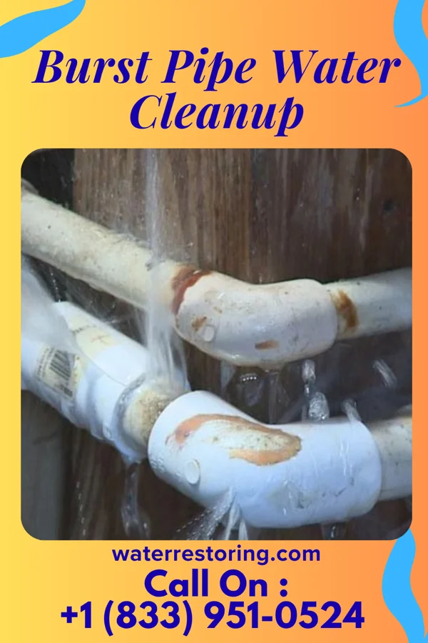 Burst Pipe Water Cleanup in Leesport, PA