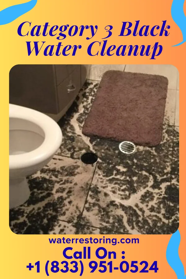 Category 3 Black Water Cleanup in Leesport, PA