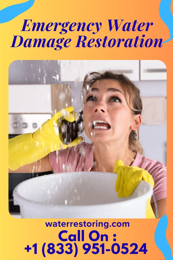 Emergency Water Damage Restoration in Leesport, PA