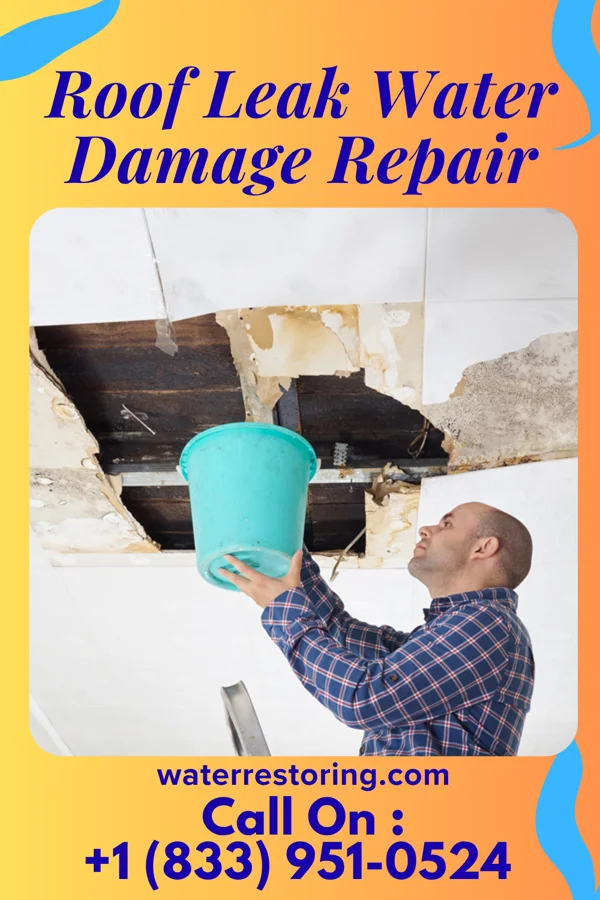 Roof Leak Water Damage Repair in Leesport, PA
