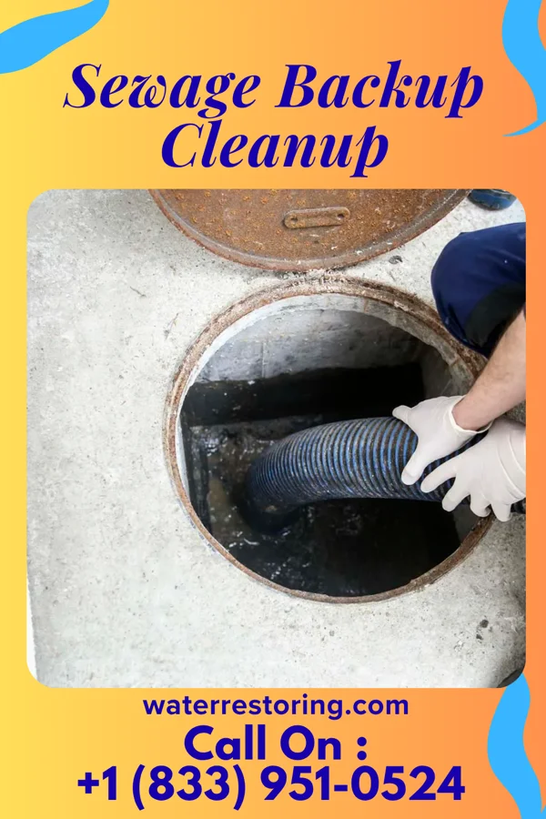 Sewage Backup Cleanup in Leesport, PA