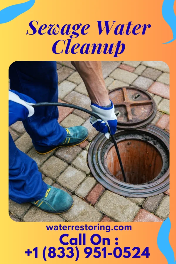 Sewage Water Cleanup in Leesport, PA