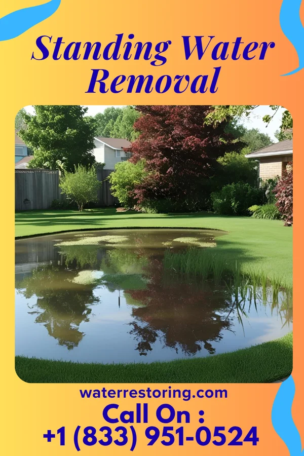 Standing Water Removal in Leesport, PA